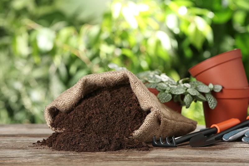 اجرای فضای سبز در مشهد / روف گاردن در مشهد / روف گاردن فضای سبز در مشهد / طراحی و اجرای فضای سبز در مشهد